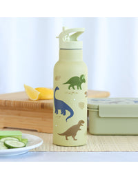XL RVS drinkfles: Dinosaurussen