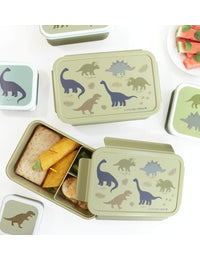 Bento lunch box: Dinosaurussen