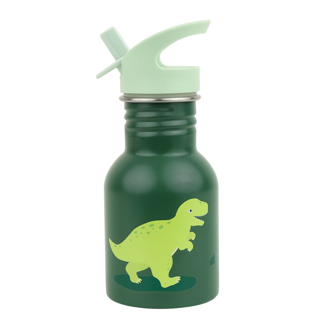 Kleine RVS drinkfles: Dinosaurus