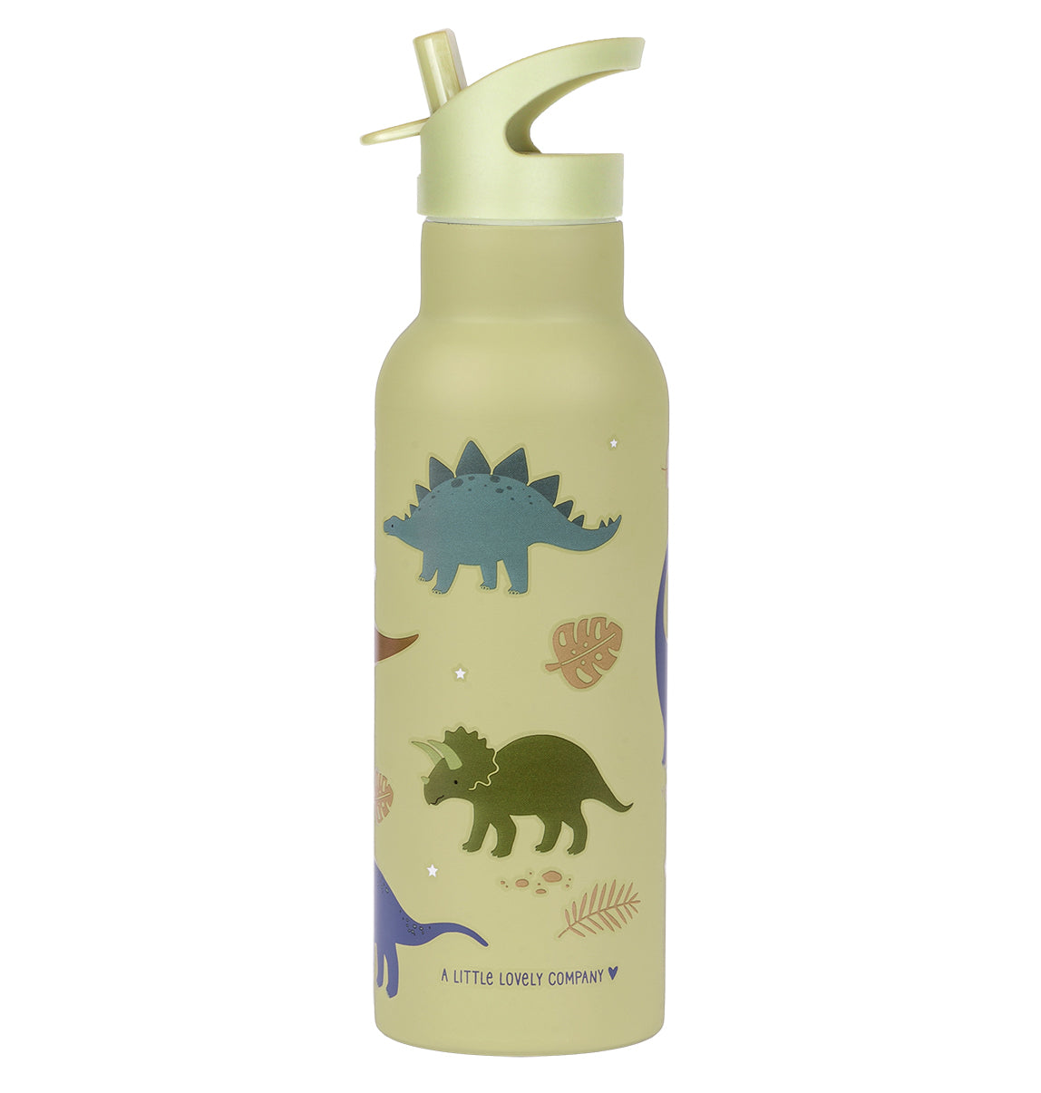 XL RVS drinkfles: Dinosaurussen