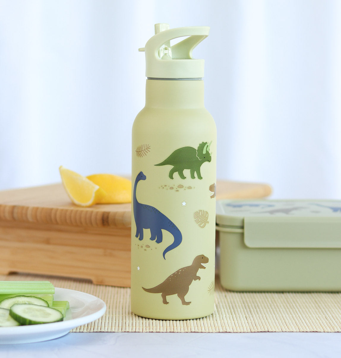 XL RVS drinkfles: Dinosaurussen