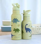 XL RVS drinkfles: Dinosaurussen