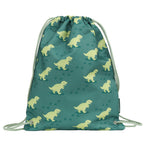 Gymtas: Dinosaurus