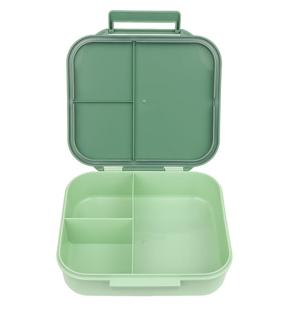 Lunch box: Dinosaurus