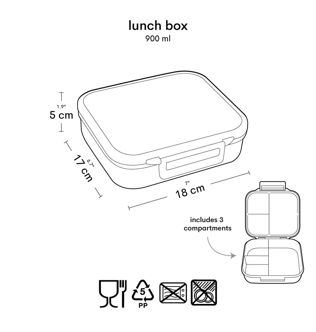 Lunch box: Dinosaurus