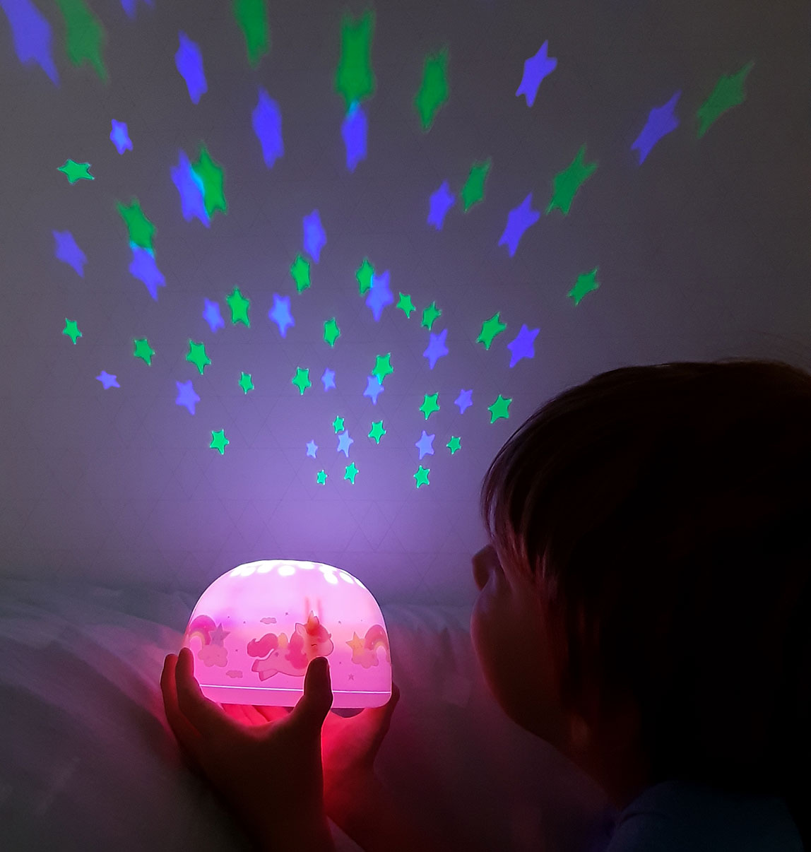 Projectorlamp: Eenhoorn