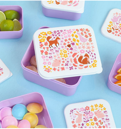 Lunch & snack box set: Bloementuin