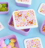 Lunch & snack box set: Bloementuin