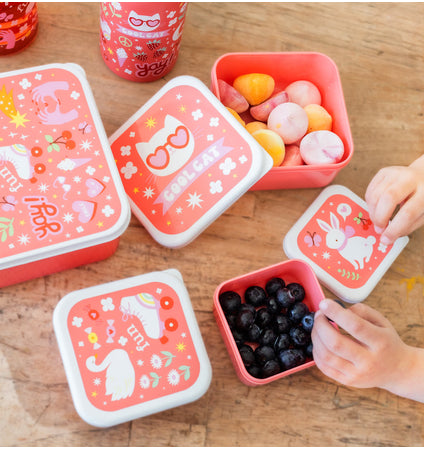 Lunch & snack box set: Fun