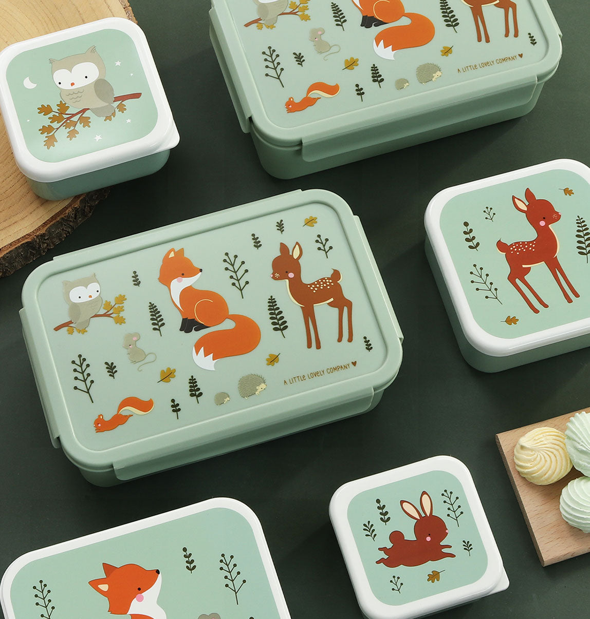 Bento lunch box: Bosvriendjes