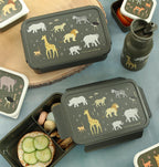 Bento lunch box: Savanne
