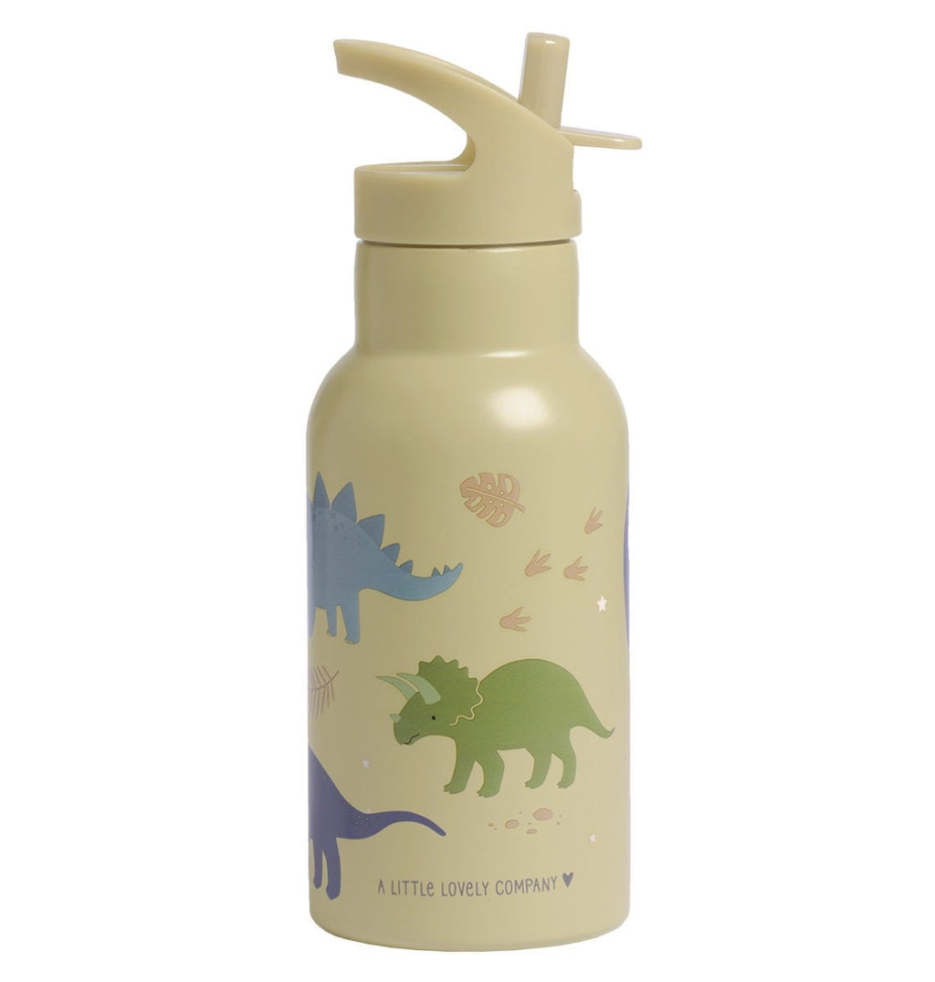 RVS drinkfles: Dinosaurussen