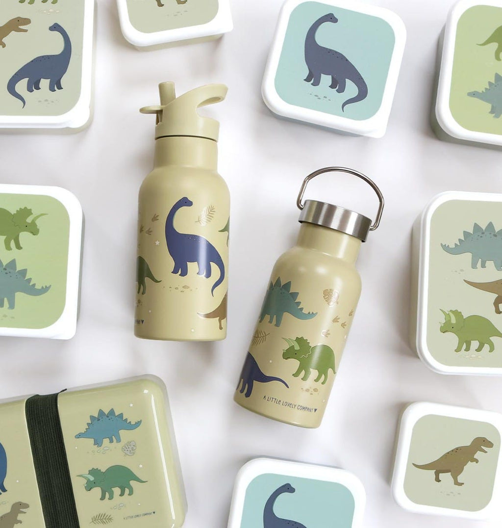 RVS drinkfles: Dinosaurussen