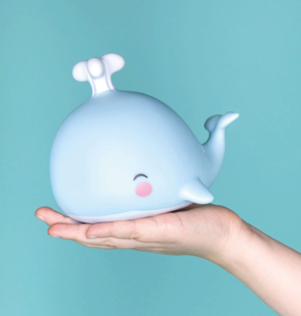 Little light: Walvis