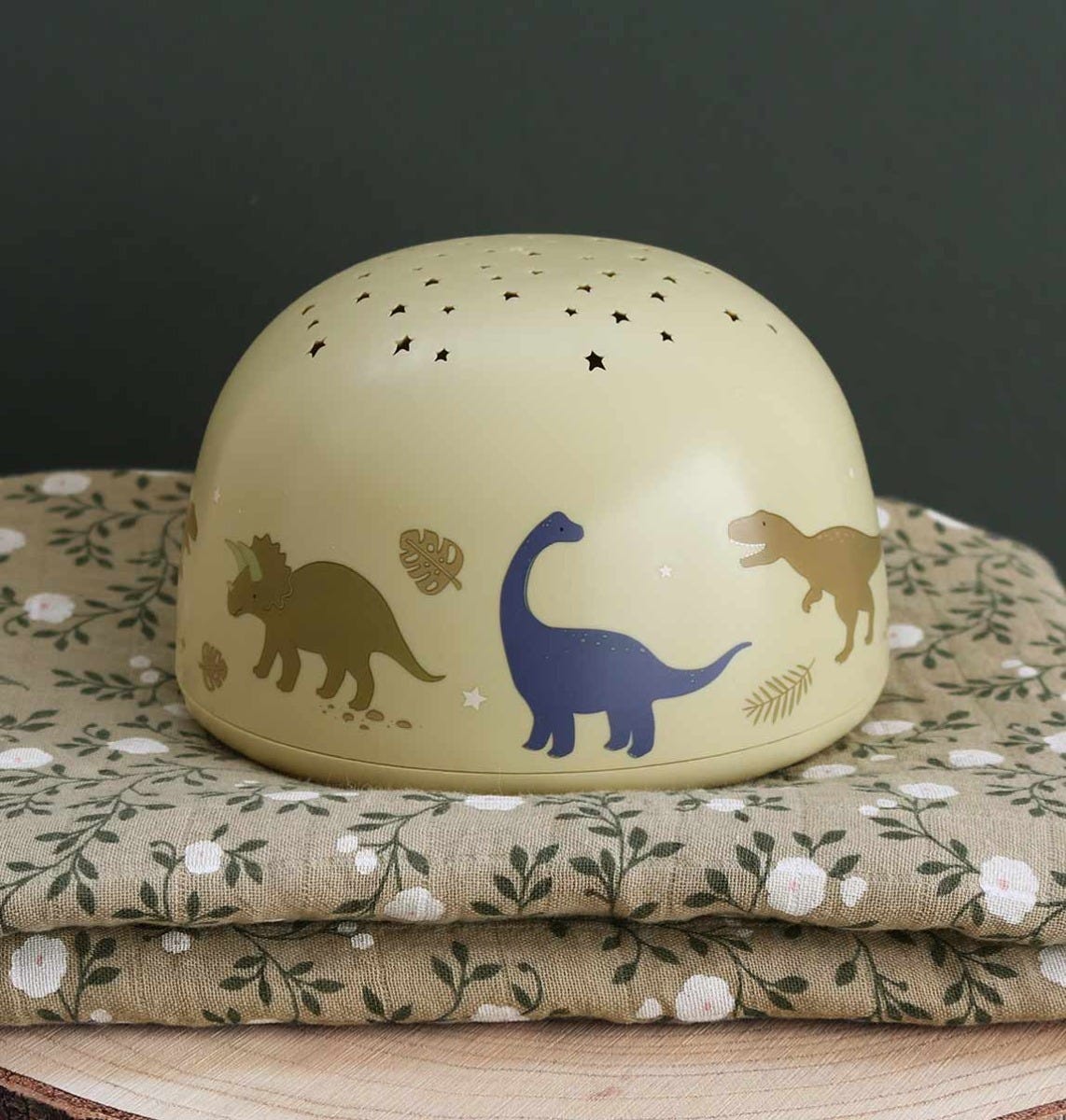 Projectorlamp: Dinosaurussen