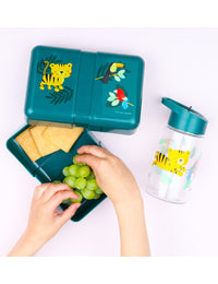 Lunch box: Jungle tijger